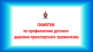 Профилактика детского дорожно-транспортного травматизма Профилактика детского дорожно-транспортного травматизма.