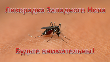 Лихорадка Западного Нила Лихорадка Западного Нила.