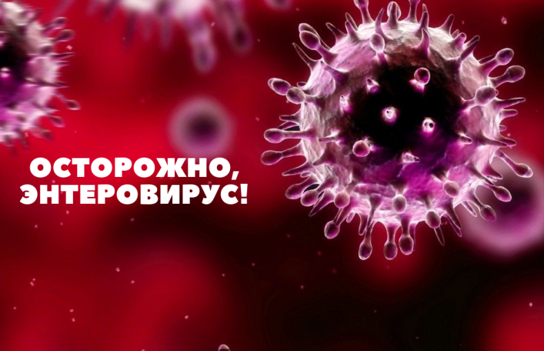 Осторожно, Энтеровирус!!! Осторожно, Энтеровирус!!!.